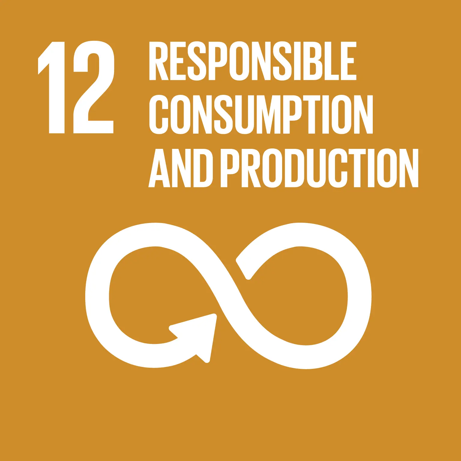 Obiettivo 12 dell'Agenda 2030 — Consumo e produzione responsabili