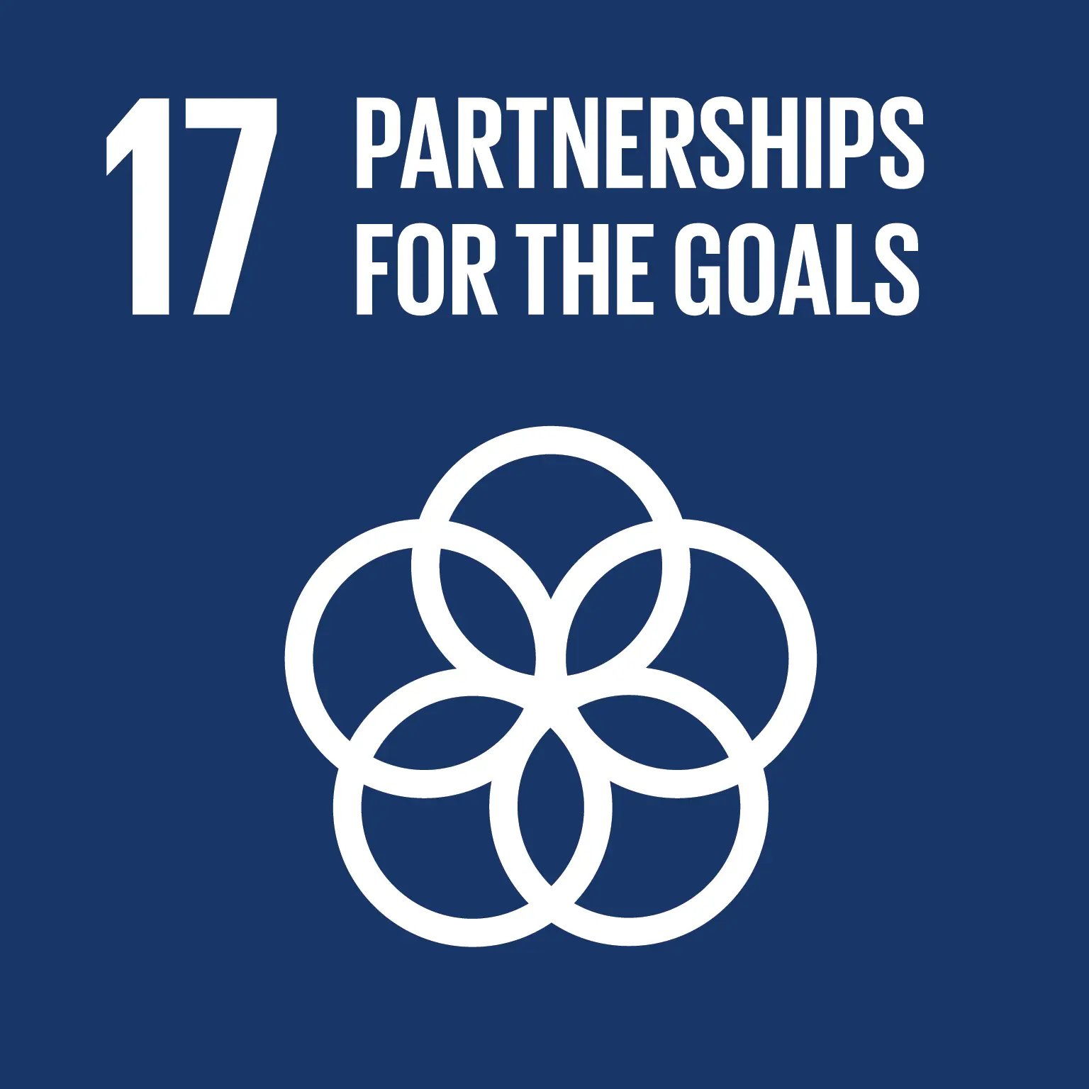 Obiettivo 17 dell'Agenda 2030 — Partnership per gli obiettivi